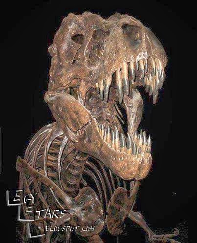 Photo of التيرانوصور (الديناصور)