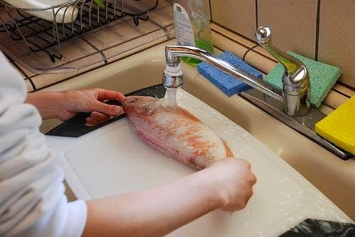 Photo of فيديو:طريقة سهلة لتنظيف السمك فى دقائق معدودة