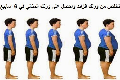 Photo of تخلص من وزنك الزائد واحصل على وزنك المثالي في 6 أسابيع